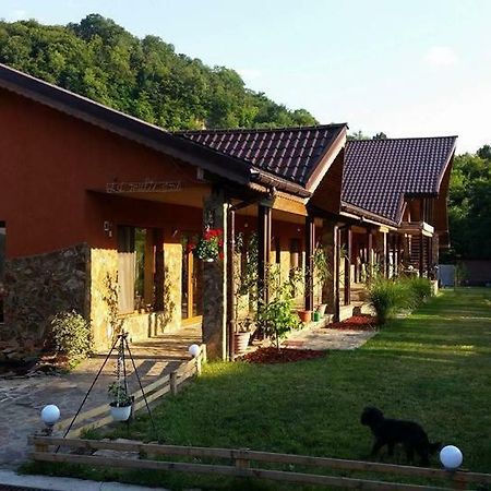 Pensiunea Raiul Muntilor Sebiş エクステリア 写真