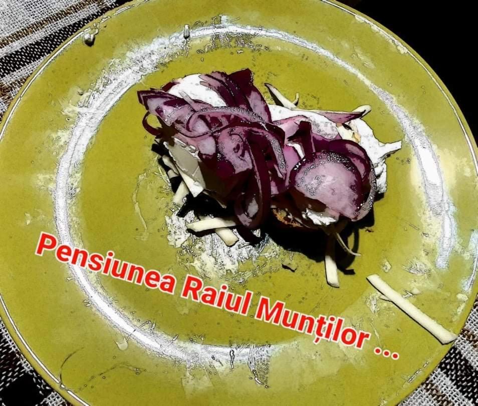 Pensiunea Raiul Muntilor Sebiş エクステリア 写真