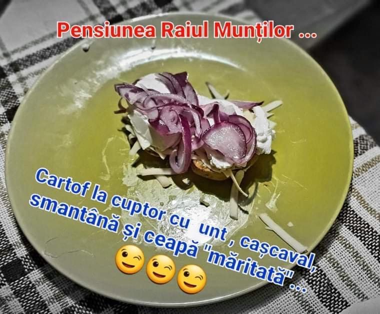 Pensiunea Raiul Muntilor Sebiş エクステリア 写真