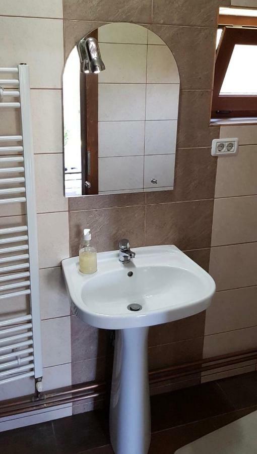 Pensiunea Raiul Muntilor Sebiş エクステリア 写真