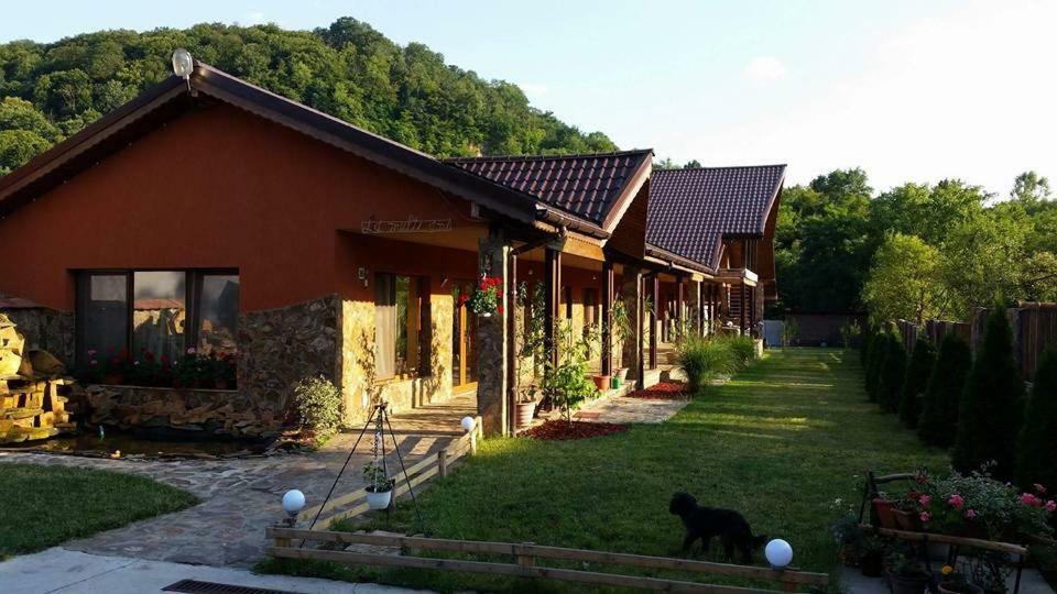 Pensiunea Raiul Muntilor Sebiş エクステリア 写真