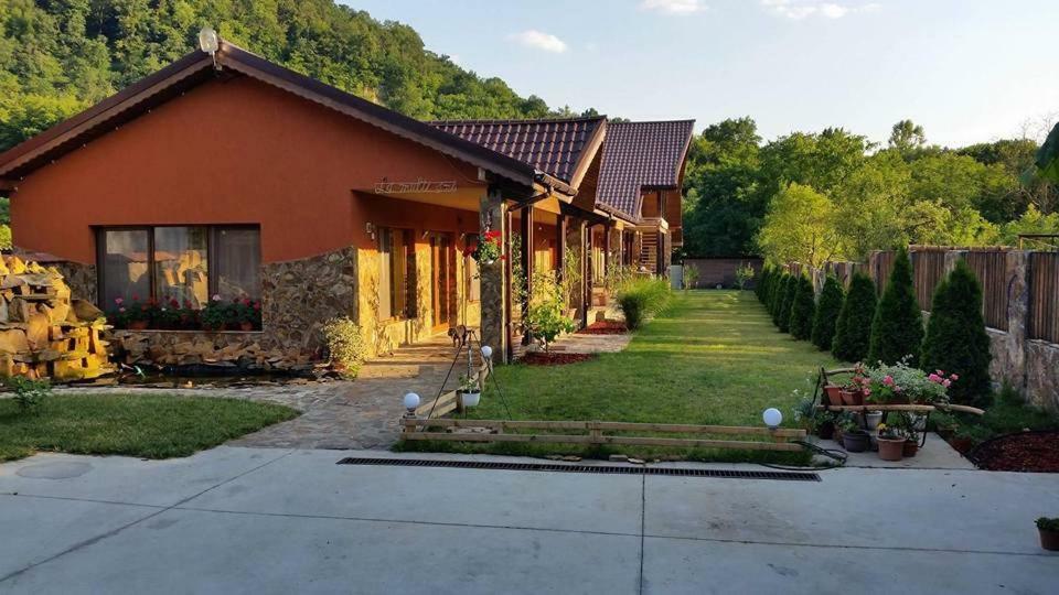 Pensiunea Raiul Muntilor Sebiş エクステリア 写真