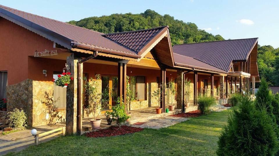 Pensiunea Raiul Muntilor Sebiş エクステリア 写真