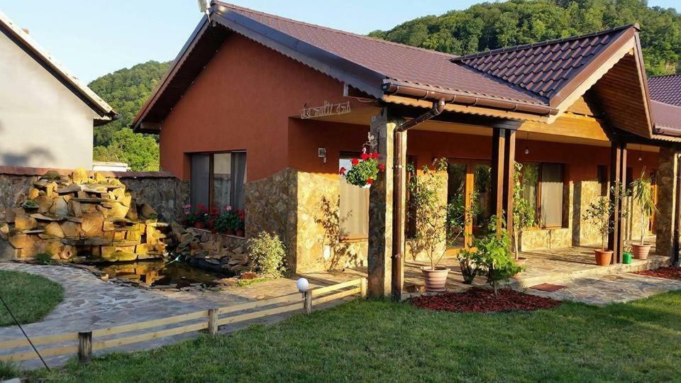 Pensiunea Raiul Muntilor Sebiş エクステリア 写真